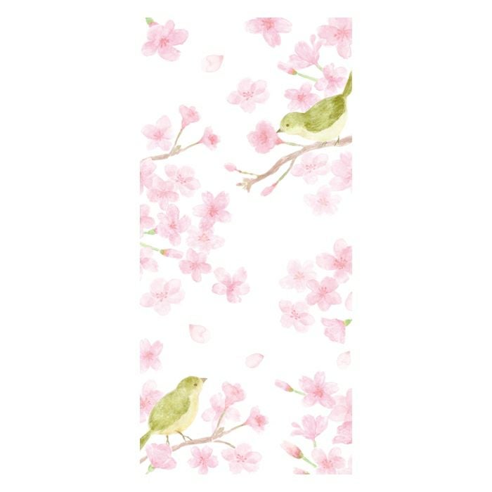 今日のお手紙 ｻｸﾗとｳｸﾞｲｽ