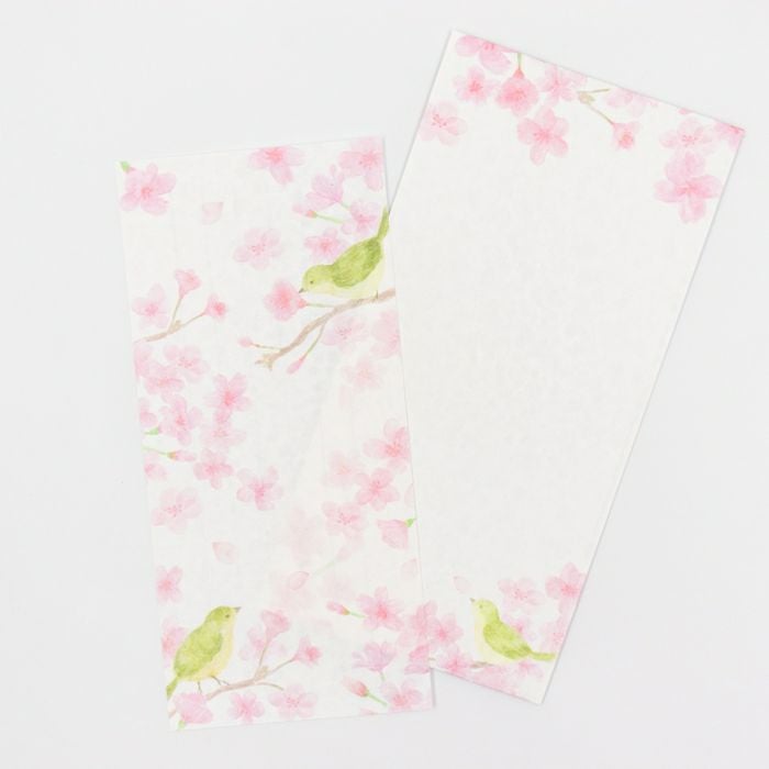 今日のお手紙 ｻｸﾗとｳｸﾞｲｽ