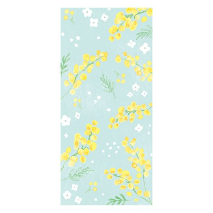 今日のお手紙 ﾐﾓｻﾞと白い花