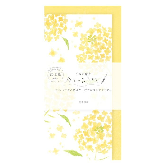 今日のお手紙 菜の花