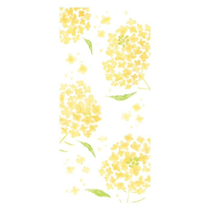 今日のお手紙 菜の花