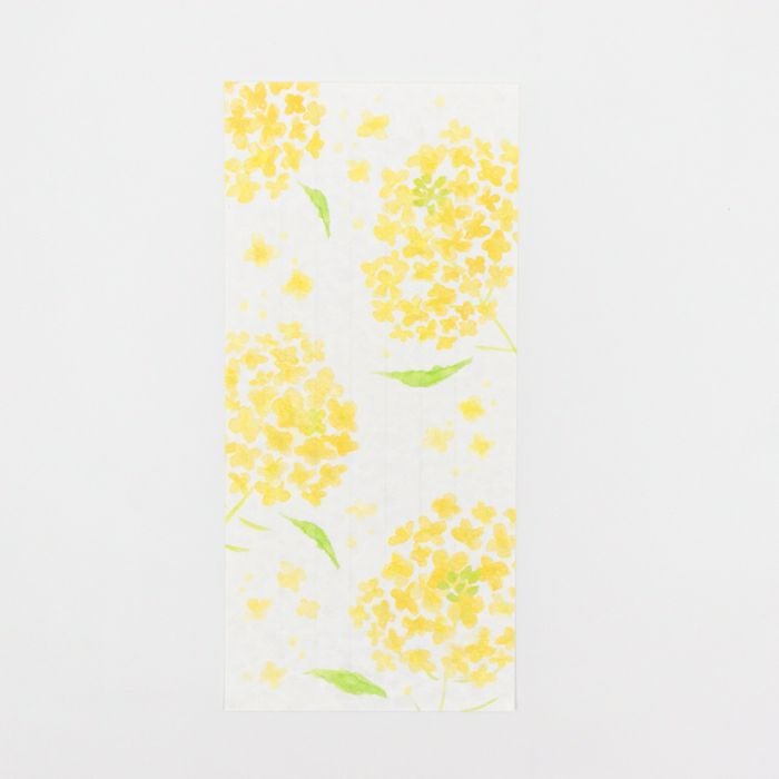 今日のお手紙 菜の花