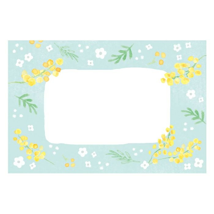 今日のお手紙ﾚﾀｰｾｯﾄ ﾐﾓｻﾞと白い花