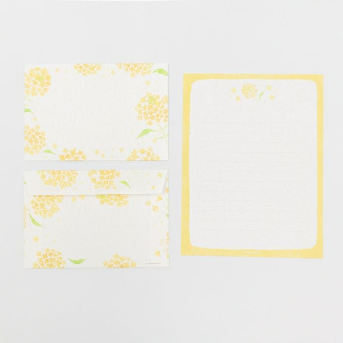 今日のお手紙ﾚﾀｰｾｯﾄ 菜の花