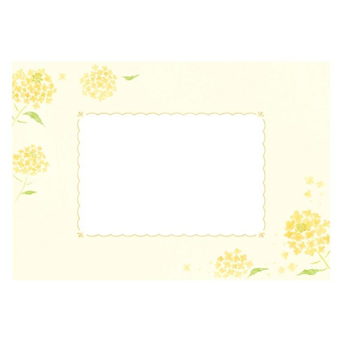 お手紙美人 菜の花