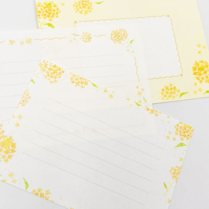 お手紙美人 菜の花