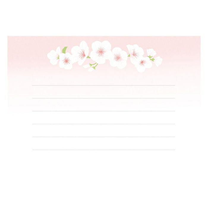 お手紙美人 さくら白