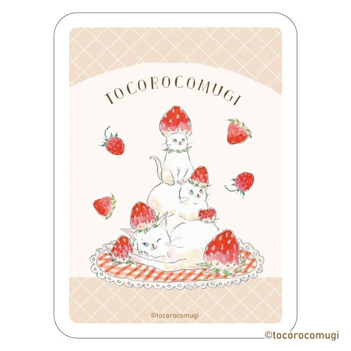 ｽﾃｯｶｰ3柄ｾｯﾄ ｽﾄﾛﾍﾞﾘｰ ﾄｺﾛｺﾑｷﾞ