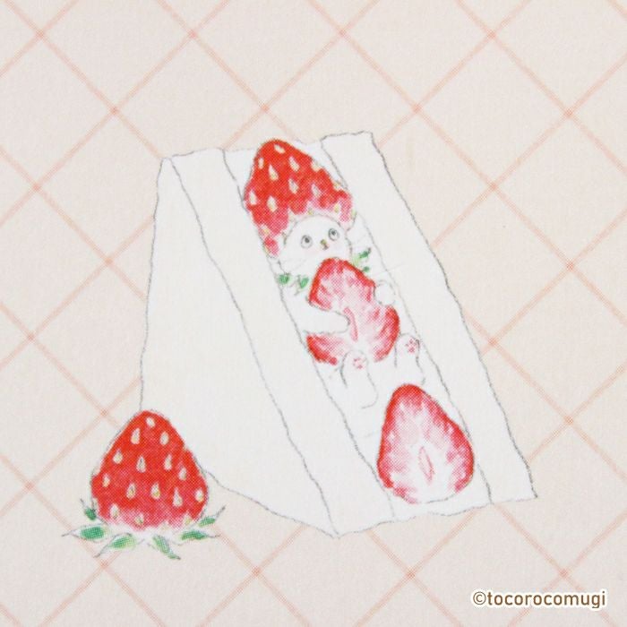 fufufu手帳 バインダーM6 ﾄｺﾛｺﾑｷﾞ ｽﾄﾛﾍﾞﾘｰ