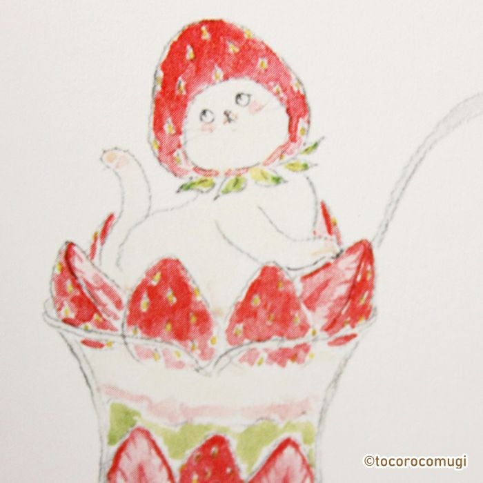 fufufu手帳 バインダーM6 ﾄｺﾛｺﾑｷﾞ ｽﾄﾛﾍﾞﾘｰ