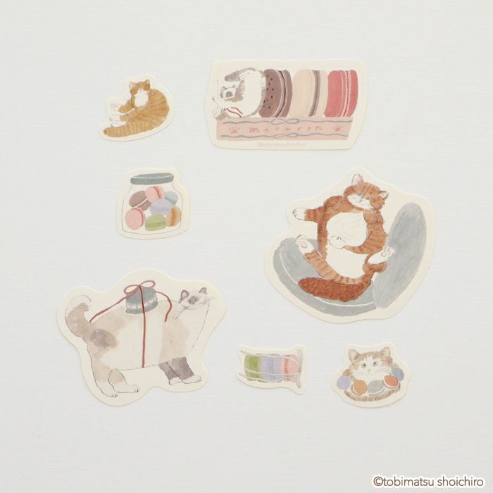 ｻｲｽﾞ違いのﾌﾚｰｸｼｰﾙ ﾏｶﾛﾝ ﾄﾋﾞﾏﾂｼｮｳｲﾁﾛｳ