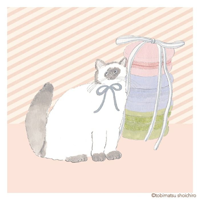 おりがみﾒﾓ ﾏｶﾛﾝ ﾄﾋﾞﾏﾂｼｮｳｲﾁﾛｳ