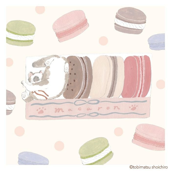 おりがみﾒﾓ ﾏｶﾛﾝ ﾄﾋﾞﾏﾂｼｮｳｲﾁﾛｳ