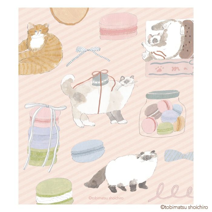 ﾒﾓﾊﾟｯﾄﾞ ﾏｶﾛﾝ ﾄﾋﾞﾏﾂｼｮｳｲﾁﾛｳ