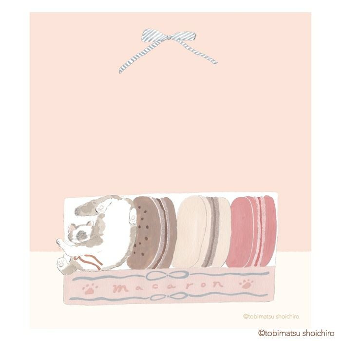 ﾒﾓﾊﾟｯﾄﾞ ﾏｶﾛﾝ ﾄﾋﾞﾏﾂｼｮｳｲﾁﾛｳ