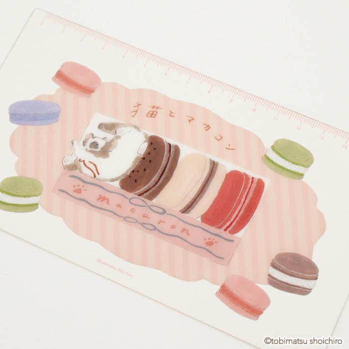 ｸﾘｱﾐﾆ下敷き ﾏｶﾛﾝ ﾄﾋﾞﾏﾂｼｮｳｲﾁﾛｳ