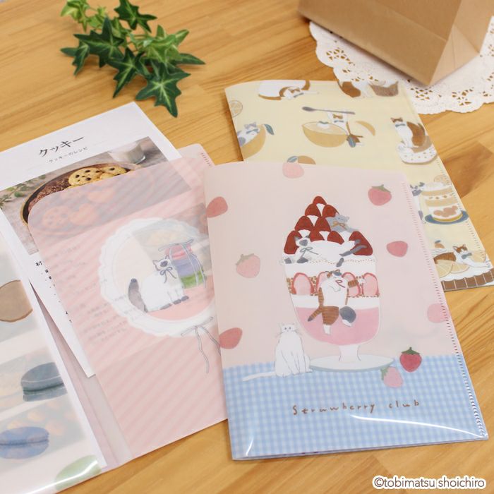 A5ｸﾘｱﾌｧｲﾙ（2PK） ﾚﾓﾝｽｲｰﾂ ﾄﾋﾞﾏﾂｼｮｳｲﾁﾛｳ