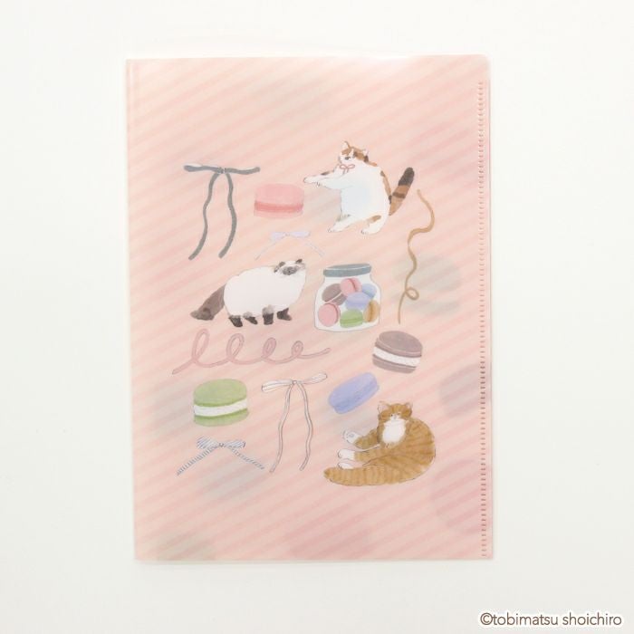 A5ｸﾘｱﾌｧｲﾙ（2PK） ﾏｶﾛﾝ ﾄﾋﾞﾏﾂｼｮｳｲﾁﾛｳ