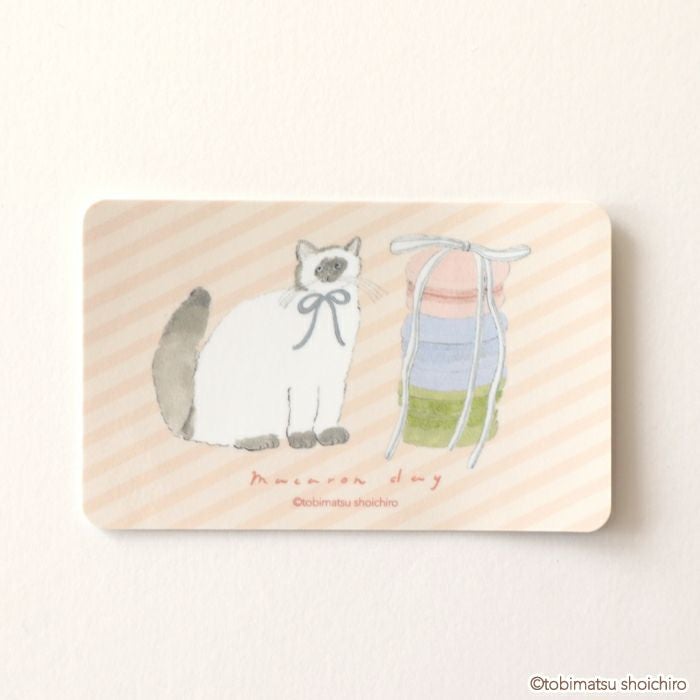 ｵﾝﾗｲﾝ限定 ｺﾝﾌﾟﾘｰﾄｾｯﾄ ﾄﾋﾞﾏﾂｼｮｳｲﾁﾛｳ ﾏｶﾛﾝ