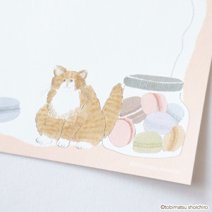 fufufu手帳 ﾘﾌｨﾙM5ｽｸｴｱ ﾄﾋﾞﾏﾂｼｮｳｲﾁﾛｳ ﾏｶﾛﾝ