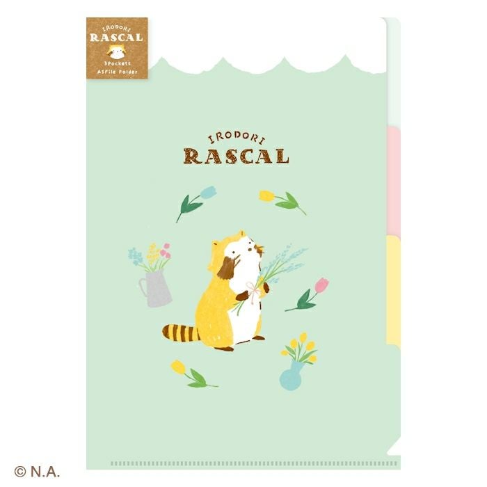 A5ｸﾘｱﾌｧｲﾙ（3PK） ﾌﾗﾜｰ ﾗｽｶﾙ