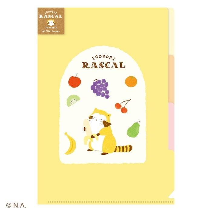 A5ｸﾘｱﾌｧｲﾙ（3PK） ﾌﾙｰﾂ ﾗｽｶﾙ