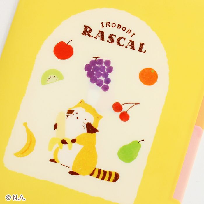 A5ｸﾘｱﾌｧｲﾙ（3PK） ﾌﾙｰﾂ ﾗｽｶﾙ